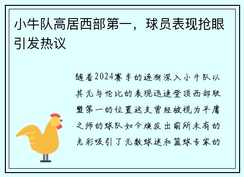 小牛队高居西部第一，球员表现抢眼引发热议